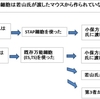 Ｓｔａｐ事件　―　理解できない最大の謎？教えてください！若山先生 ②