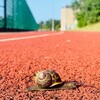 ヤケクソにならずにスローペースで生きることだね。