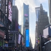 ニューヨーク・タイムズスクエアの年越しカウントダウンに挑戦！