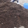 カブトムシが作る完熟堆肥