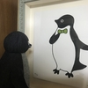 坂崎千春のアデリーペンギンの絵を額装した