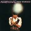 #0206) VOICE OF AMERICA / Little Steven 【1984年リリース】