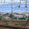 長野総合車両センター廃車置場周辺（5/7）
