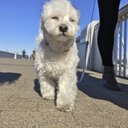 じーすー音楽