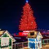2026年1月27日　函館の旅⑩