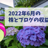 2022年6月の収入（株、ブログ）を公開！裁量トレードで大敗。。