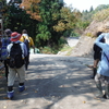 木のこん散歩Ｉｎ東山～ブナ林で遊ぼう～