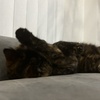 ごきげんなおねえちゃん。
