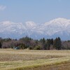 佐渡　春っぽくなり