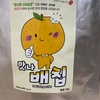 韓国の農村で買った、梨チップス