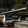 鳩ノ巣駅景