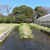 谷保分水（東京都国立市）