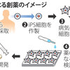 じじぃの「パーキンソン病・iPS細胞でつくる薬の未来・治療に活用へ！WBS」