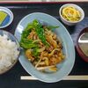 横浜市営地下鉄新羽駅から徒歩3分のところにある定食屋兼居酒屋しらぎくで580円のピーマンとしめじの豚肉炒め定食を食べてきました