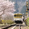 安野 花の駅公園