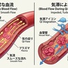 気滞状態の血管ってどうなってるのかな？