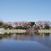 春の水元公園－Mizumoto Park in the spring (Apr.2019-No.16）