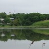 春採公園の植物目録