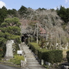 お天気に誘われて・・・谷性寺　篠葉神社