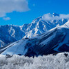 2月中旬のHakuba Valley：10スキー場の積雪とコンディション情報