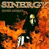  SINERGY「To Hell And Back」(2000)