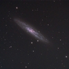 ＮＧＣ２５３：ちょうこくしつ座の渦巻銀河