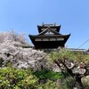 4月初め　大和郡山城跡のさくら