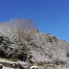 積雪の予報。