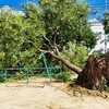 台風チャーミーがやってくる