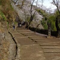 岡城　二十六夜の月