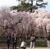 日本版「ライドシェア」解禁 タクシー会社が運行を管理　4都府県