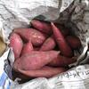 【送料込】紅はるか2kg　サイズ色々『砂地』で育った南国高知のさつまいも