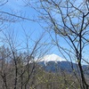 山登り　( 5 ) 日和田高原 ②