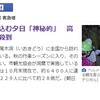 Yahoo!ニュースの記事「伊尾木洞」についてYouTubeで調べる！