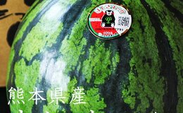 記事を見る