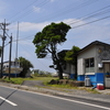 2013屋久島・鹿児島の旅-27（中間のガジュマル）