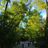 久々の無病息災！「下鴨神社 みたらし祭」