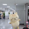 うわぁかわいい