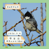 【守谷沼・野鳥のみち】ヒガラ、カイツブリなど 3/4