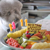 Happy Birthday Party  2015（No.2）