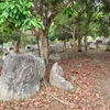 シェンクアン県観光スポット⑦世界遺産観光 - ジャール平原巨大石壺群Site３ （Plain of Jars） - （シェンクアン県ポーンサワン）