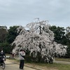 大仙公園