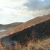 阿蘇山上の草千里一帯で野焼き【熊本】    