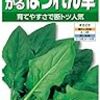 もう1月終わるんだけど、私の新業務はどうなってるんですかね