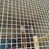 ベイビーちゃんたちと動物園