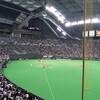 甲子園予選？