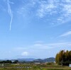 歩いた