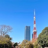 DAISO素焼きポットの底穴対策。東京タワーを横目についでのウォーキング。