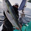 1月３日(金)　イワシ泳がせ