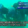 辺野古から緊急情報